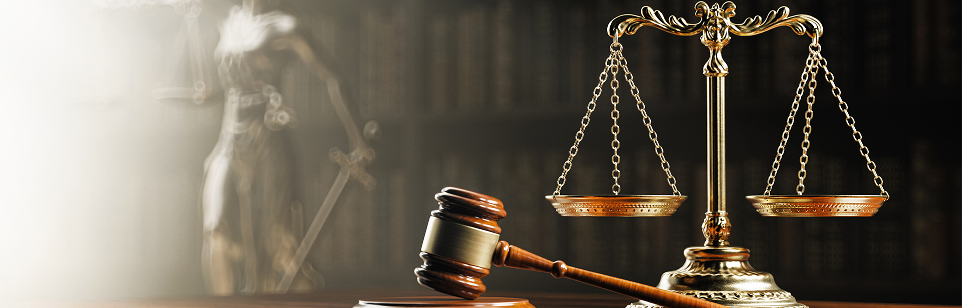 The Legal Expert Witness Banner 3